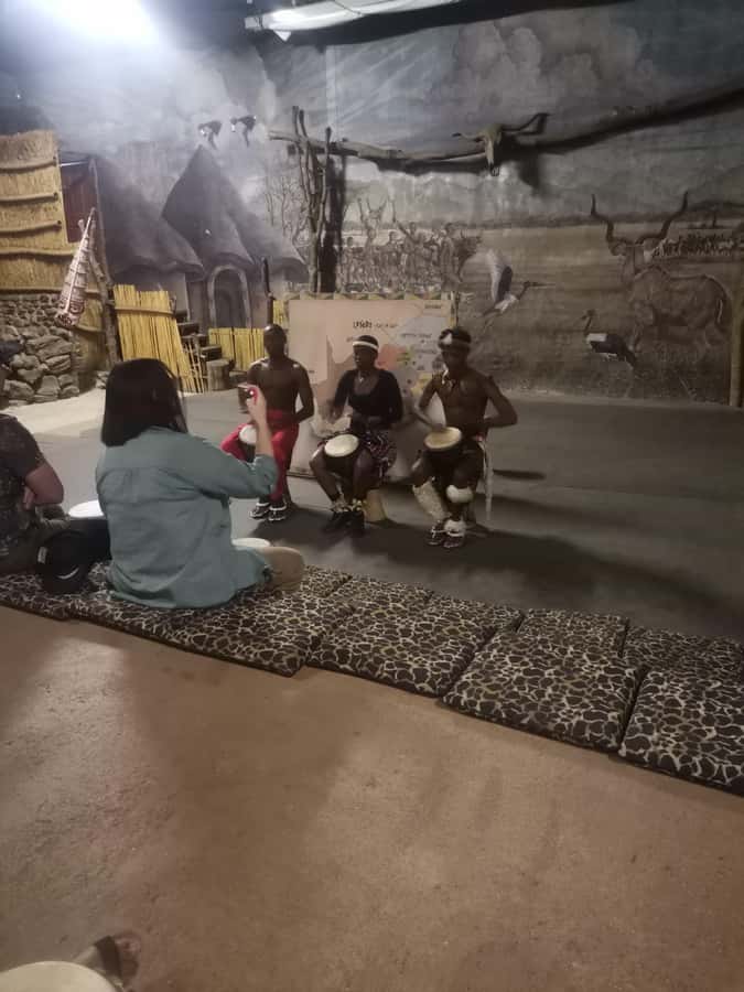 Johannesburg: Lion Park Safari and Cultural Village Tour - Why the two stops work together