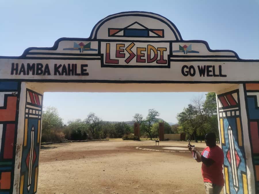 Johannesburg: Lion Park Safari and Cultural Village Tour - Timing, comfort, and practical advice