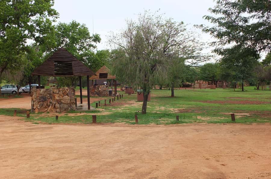 Johannesburg: Rhino and Lion Nature Reserve Safari - Why the open vehicle matters