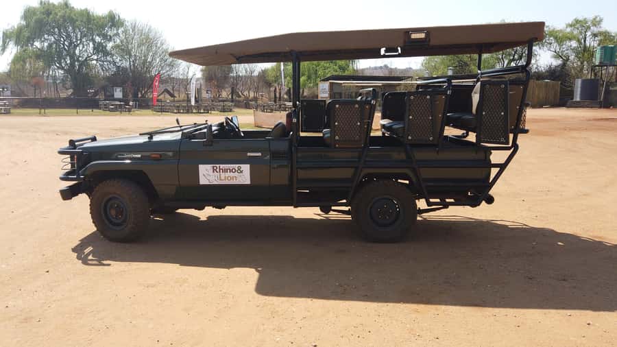 Johannesburg: Rhino and Lion Nature Reserve Safari - Practical preparation for the game drive