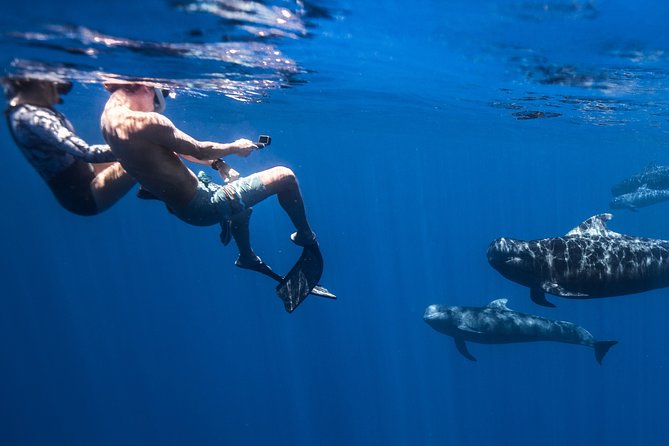 Kaimana Ocean Safari - Crew style, safety, and ocean care