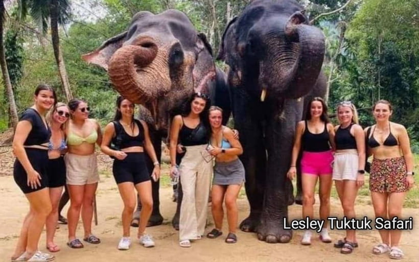 Kandy : Pinnawala Elephant Safari Private Guid Tuk Tuk Tour - Key details that shape the day