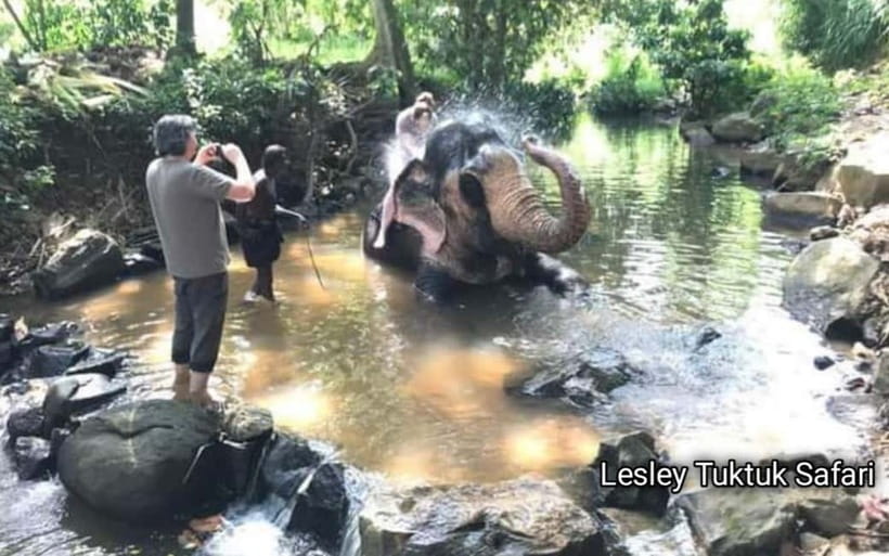 Kandy : Pinnawala Elephant Safari Private Guid Tuk Tuk Tour - Why this Kandy day trip covers so much