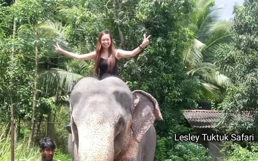 Kandy : Pinnawala Elephant Safari Private Guid Tuk Tuk Tour - Lunch and the practical rhythm of the route
