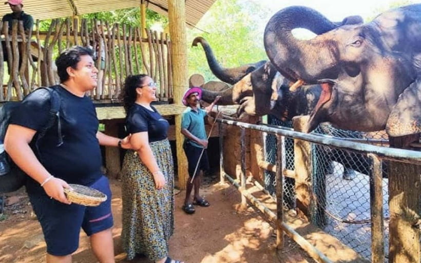 Kandy : Pinnawala Elephant Safari Private Guid Tuk Tuk Tour - Royal Botanic Gardens and the orchid collection