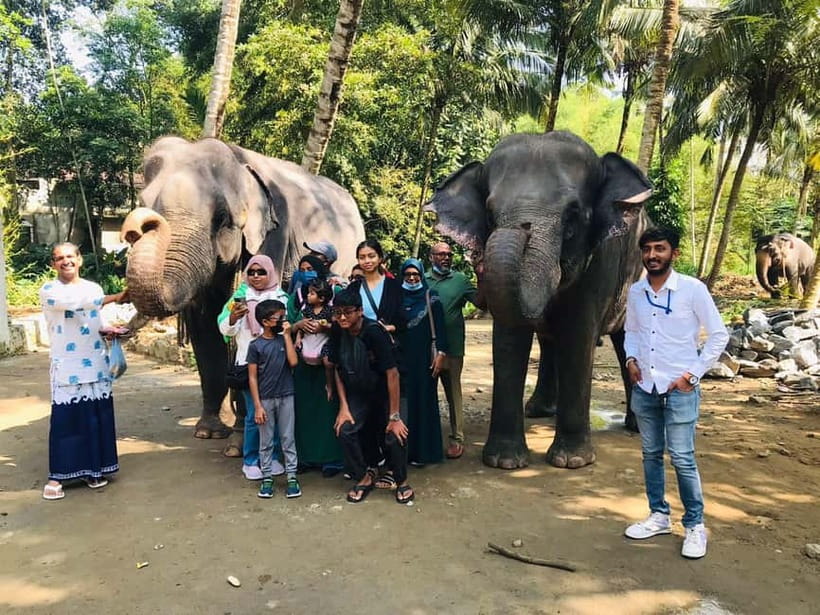 Kandy : Pinnawala Elephant Safari Private Guid Tuk Tuk Tour - Tea, spices, gems, and local craft displays