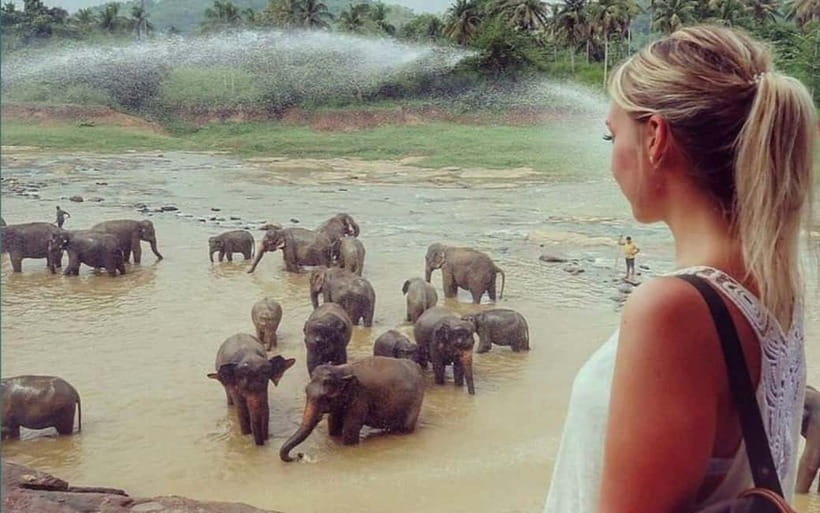 Kandy : Pinnawala Elephant Safari Private Guid Tuk Tuk Tour - Temples and views around Kandy