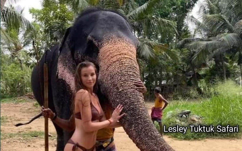 Kandy : Pinnawala Elephant Safari Private Guid Tuk Tuk Tour - Guide style and group size