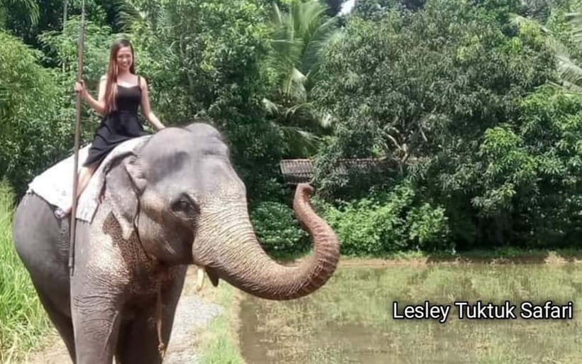 Kandy : Pinnawala Elephant Safari Private Guid Tuk Tuk Tour - Kadugannawa adds history before the elephants