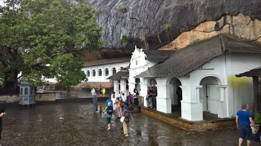 Kandy To Sigiriya Day Tour With Minneriya Safari - Transport, drivers, and comfort