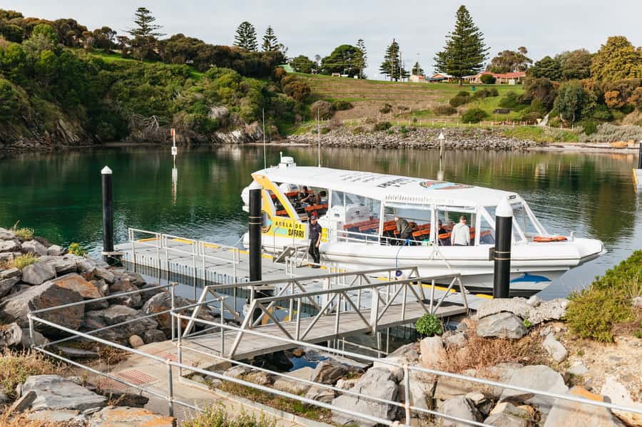 Kangaroo Island: 75-Minute Coastal Safari - Should You Book the Penneshaw Coastal Safari?