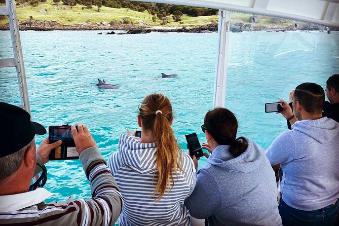 Kangaroo Island 75-Minute Coastal Safari - Weather, comfort, and what to wear
