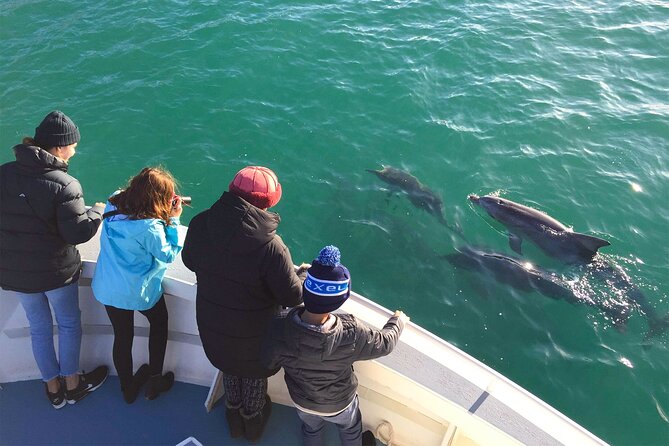 Kangaroo Island 75-Minute Coastal Safari - Is $63.12 good value?