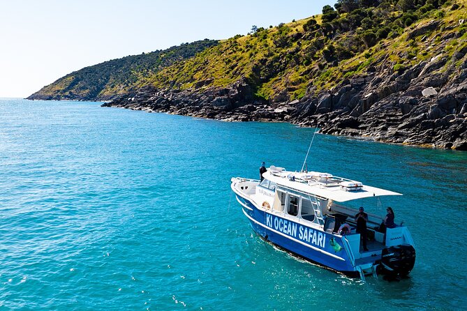 Kangaroo Island: 75-Minute Coastal Safari - Following the Ancient Kangaroo Island Coast