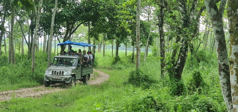 Kathmandu: 3-Day Chitwan Safari Tour with Hotel Transfers - My verdict on value and organization