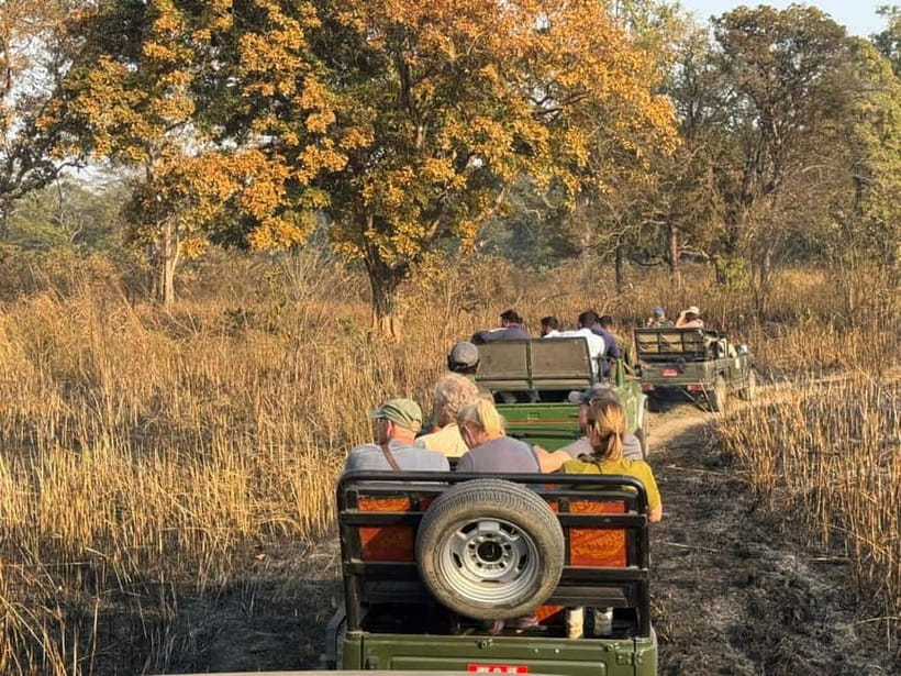 Kathmandu: 3-Day Chitwan Safari Tour with Hotel Transfers - Should you book it?