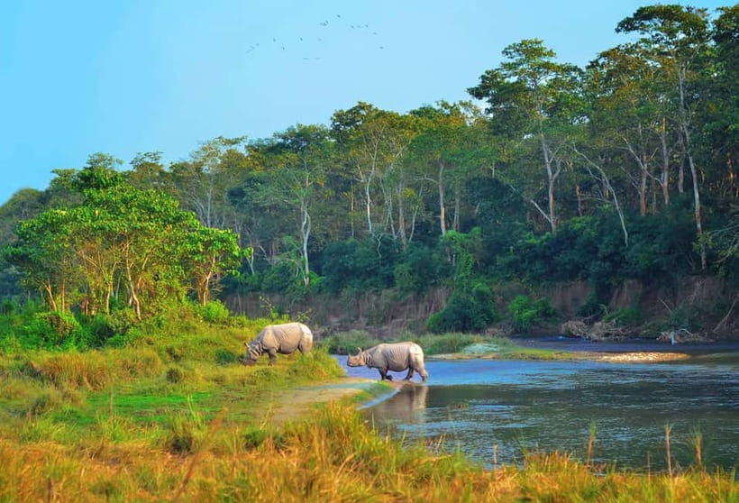 Kathmandu/Pokhara: 3 Day Chitwan Jungle Safari Tour - Why Chitwan makes a good break from Nepal’s mountains