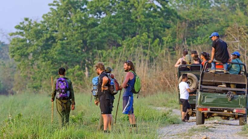 Kathmandu/Pokhara: 3 Day Chitwan Jungle Safari Tour - The resort experience and the small caveats