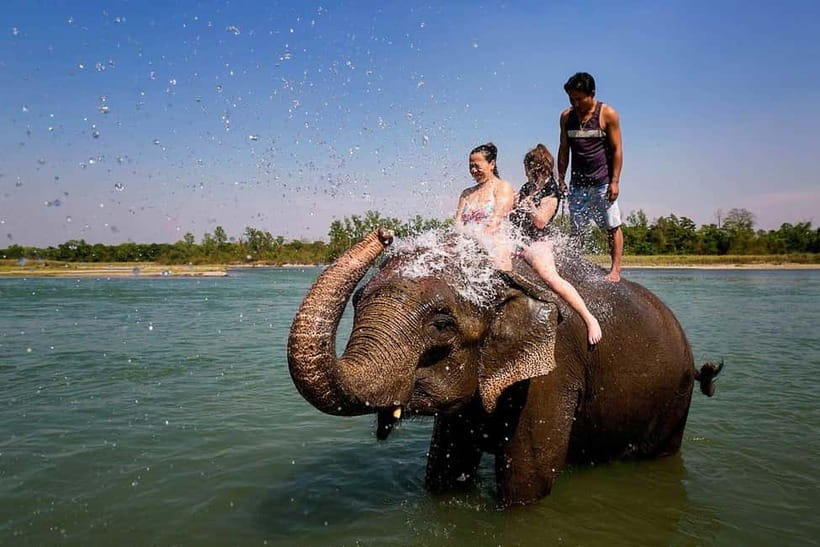 Kathmandu/Pokhara: 3 Day Chitwan Jungle Safari Tour - Should you book it?