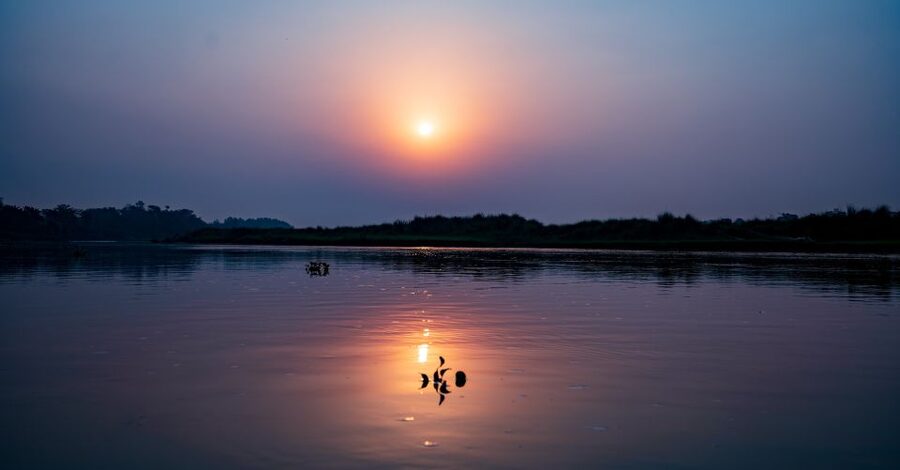 Kathmandu/Pokhara: Wildlife, Culture and Jungle Safari Tour - Jeep safari or elephant ride in Chitwan National Park