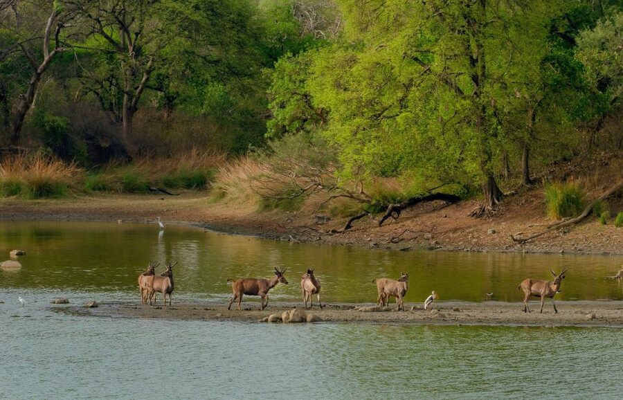 Kathmandu/Pokhara: Wildlife, Culture and Jungle Safari Tour - The road from Kathmandu or Pokhara to Sauraha