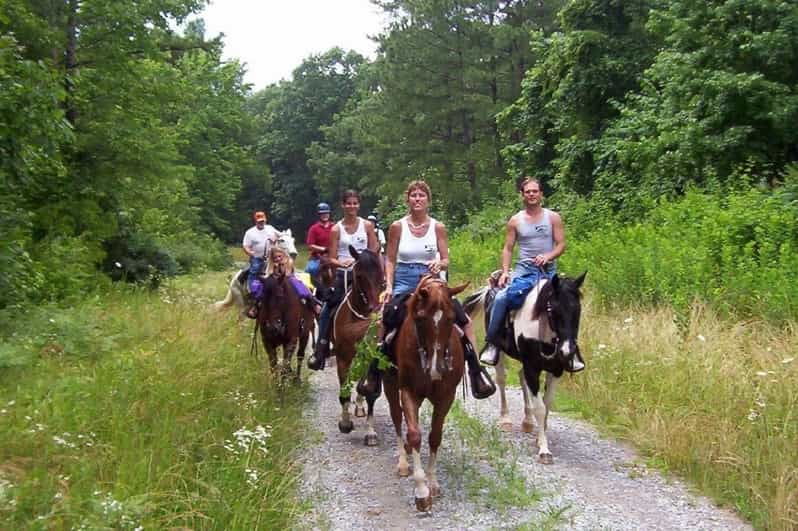 Kemer Horse Safari, pick up from Kiris, Beldibi, Goynuk - From your hotel gate to the Kemer stables