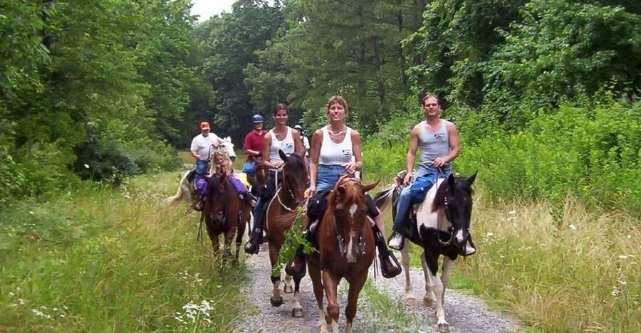 Kemer Horse Safari, pick up from Kiris, Beldibi, Goynuk - The horses and the riding level