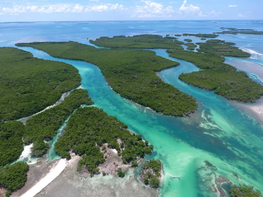 Key West: Eco Safari Sandbar Tour with Snorkeling - Key points at a glance