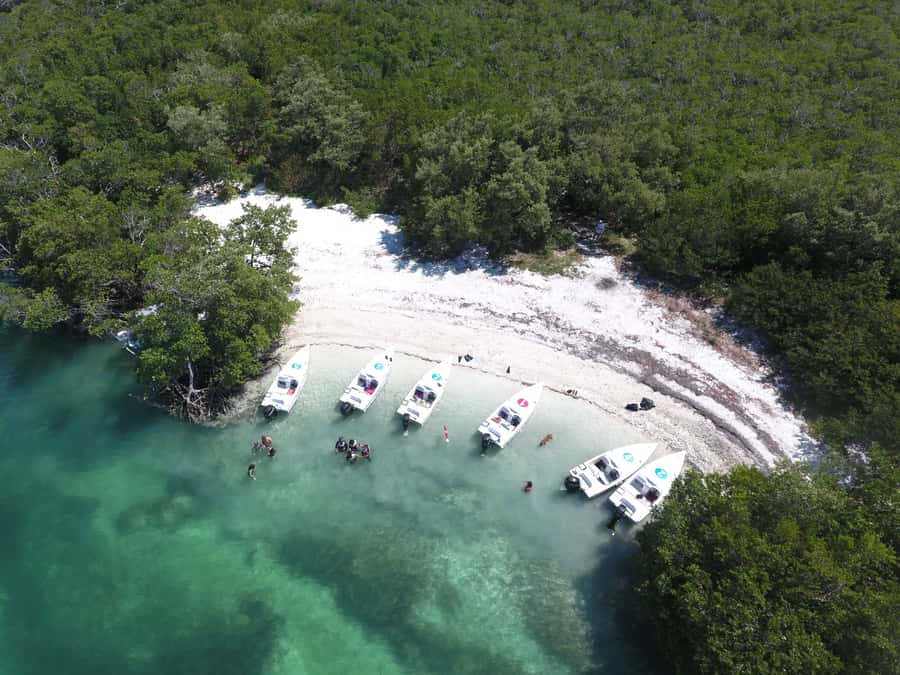 Key West: Eco Safari Sandbar Tour with Snorkeling - Practical tips before you go