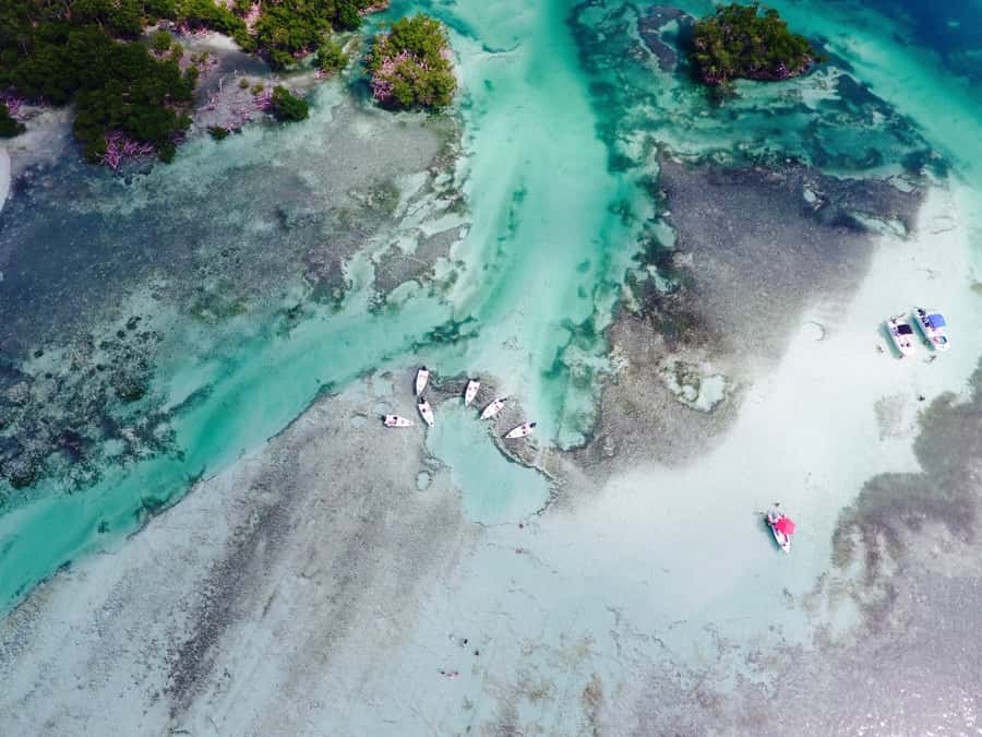 Key West: Eco Safari Sandbar Tour with Snorkeling - Reaching Mud Key by small boat