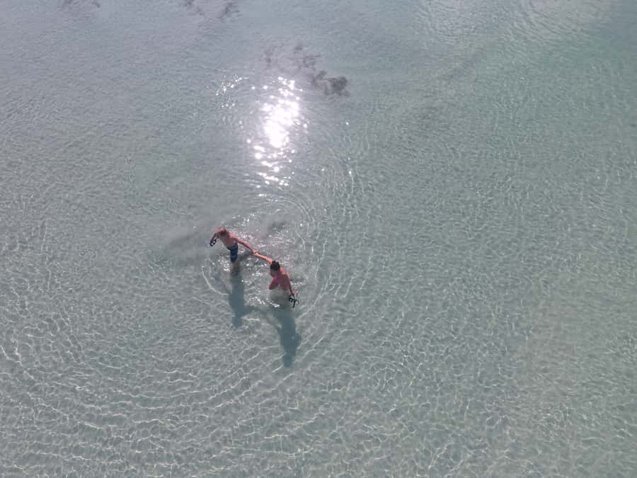 Key West: Eco Safari Sandbar Tour with Snorkeling - Snorkeling in clear Gulf water