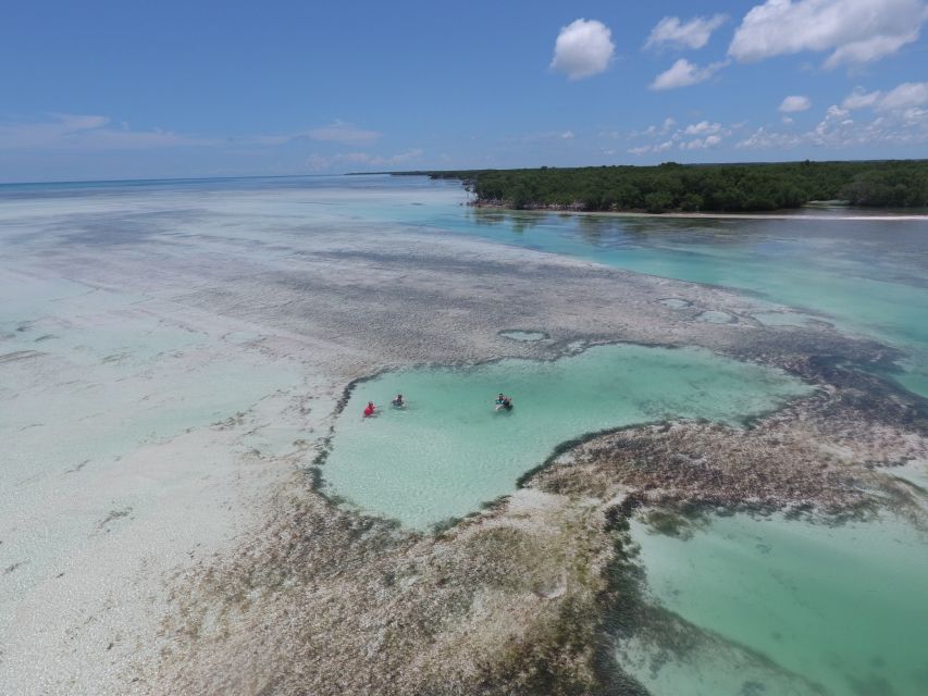 Key West: Eco Safari Sandbar Tour with Snorkeling - The return through the mangrove maze