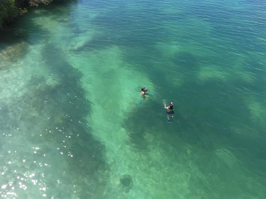Key West: Eco Safari Sandbar Tour with Snorkeling - What the $178 price really buys