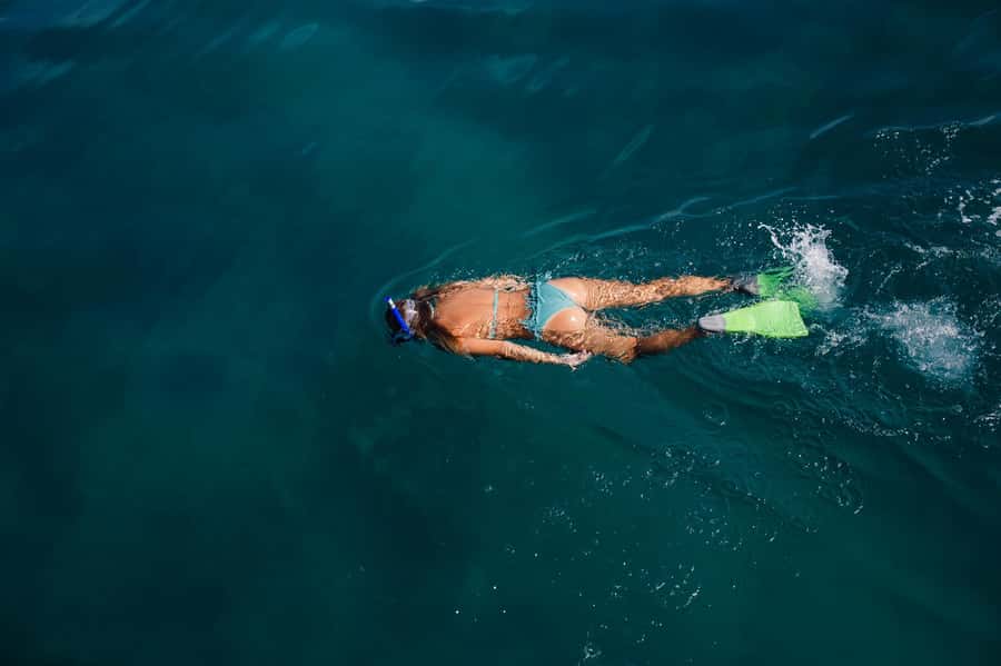 Key West: Eco Safari Sandbar Tour with Snorkeling - Guides, language, and the boating test