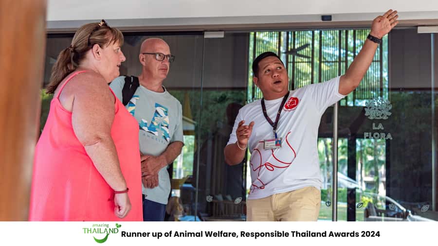 Khao Lak Eco-Safari: Elephants, Tsunami Museum, and Turtles - Why this four-hour tour works
