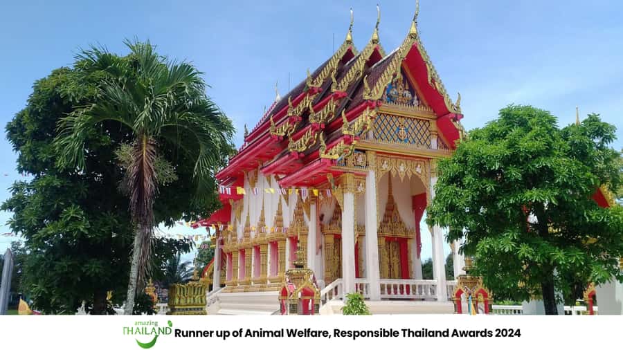 Khao Lak Eco-Safari: Elephants, Tsunami Museum, and Turtles - Lunch at the sanctuary, with time to cool down