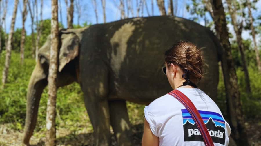 Khao Lak Eco-Safari: Elephants, Tsunami Museum, and Turtles - Patrol Boat 813 and Khao Lak’s difficult past