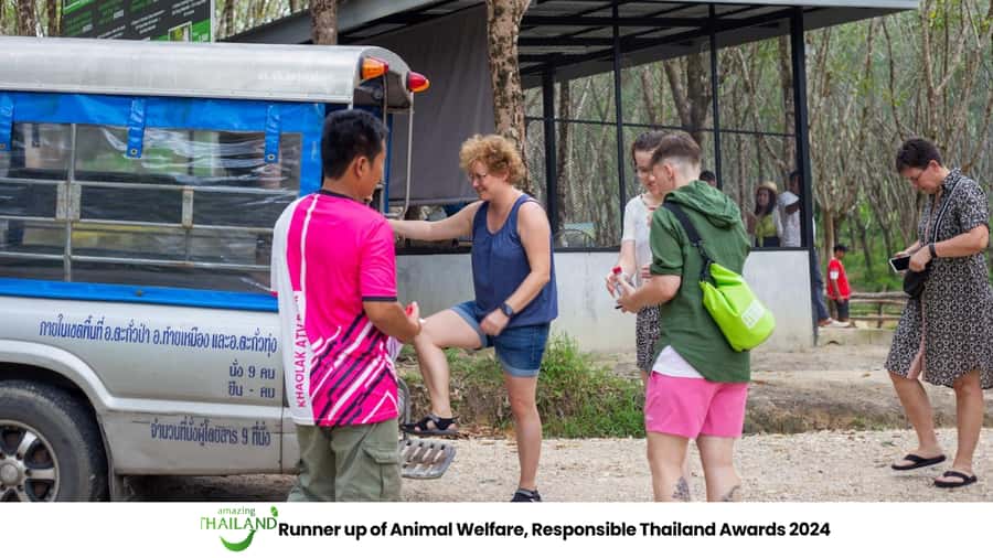Khao Lak Eco-Safari: Elephants, Tsunami Museum, and Turtles - Sea turtles at the Royal Thai Navy nursery