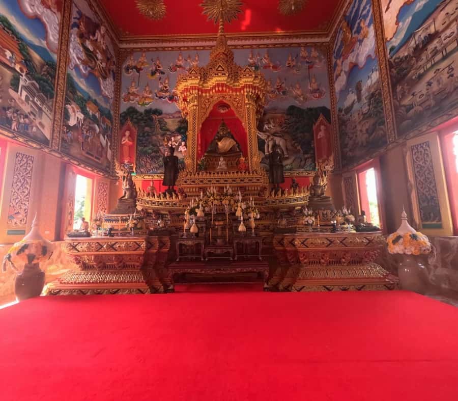 Khao Lak Eco-Safari: Elephants, Tsunami Museum, and Turtles - What $112 buys you