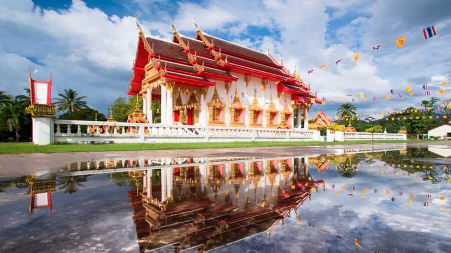 Khao Lak: Elephant Safari with Lunch - Air-conditioned pickup and a well-supported day