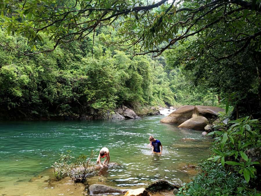 Khao Sok: Private Day Trekking, Jungle Dinner & Night Safari - From Khlong Sok to the forest trail