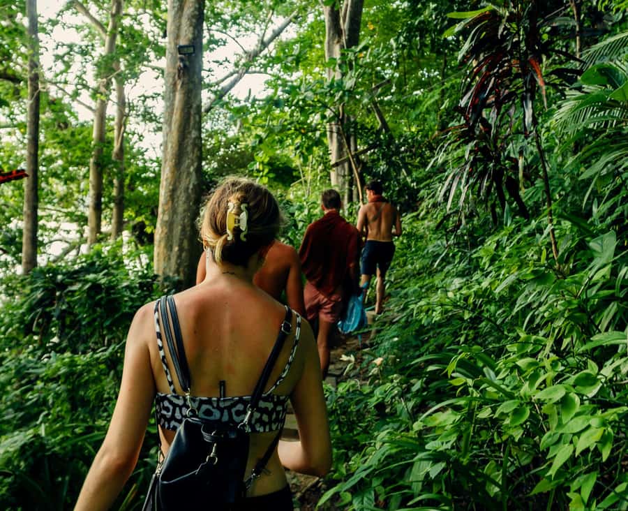 Khao Sok: Private Day Trekking, Jungle Dinner & Night Safari - Bamboo cooking beside the river