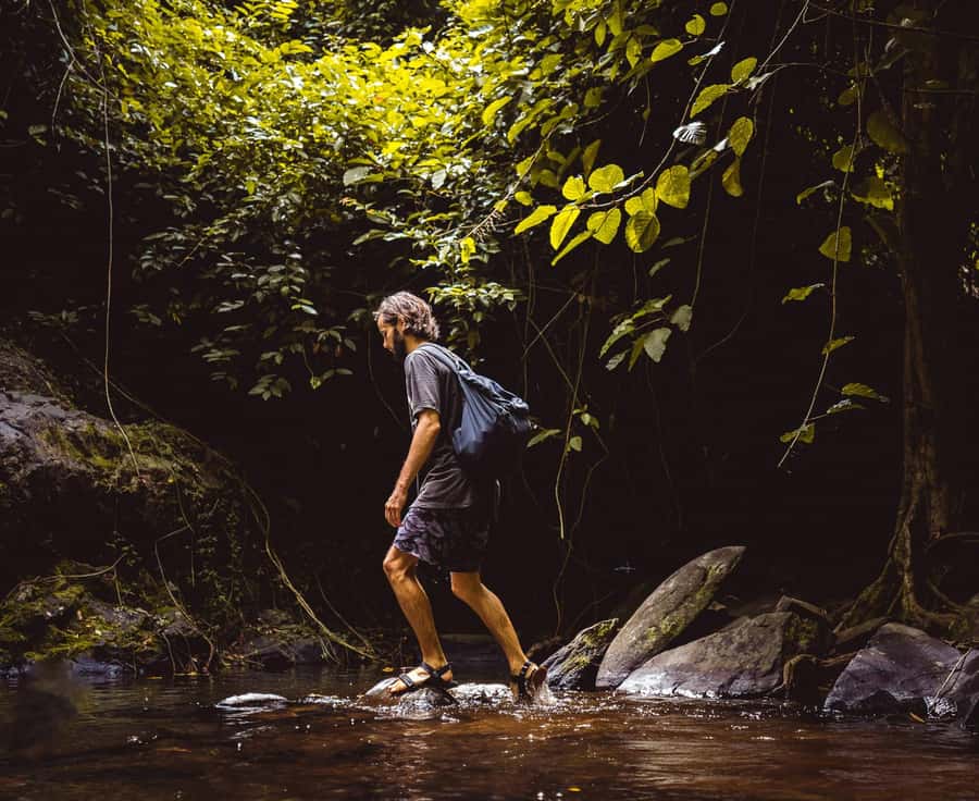 Khao Sok: Private Day Trekking, Jungle Dinner & Night Safari - Should you book the Khao Sok jungle trek and night safari?