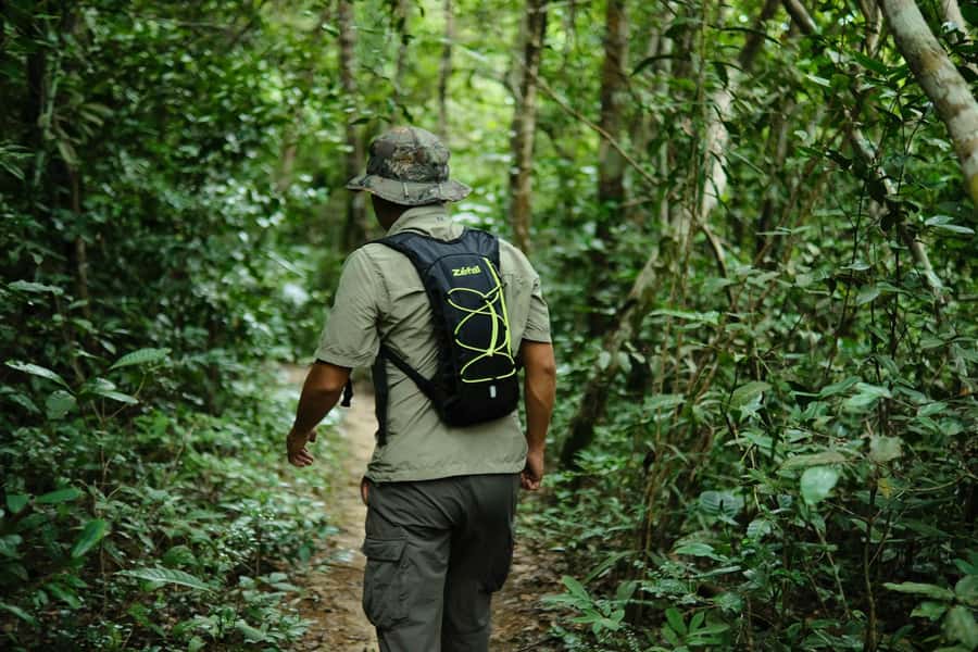 Khao Sok: Private Day Trekking, Jungle Dinner & Night Safari - Two hours of daylight wildlife spotting