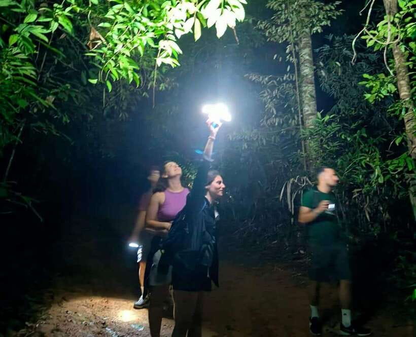 Khao Sok: Private Night Safari Adventure w/ Hotel Transfer - Is $48 a fair price?