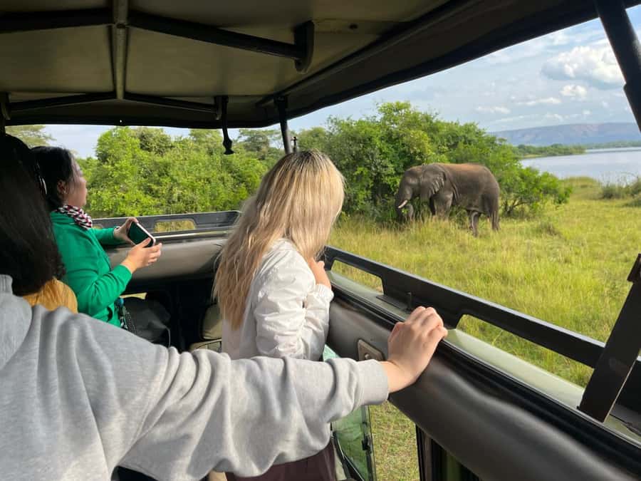 Kigali: Full-Day Akagera Safari + Optional Boat Ride - Key points at a glance