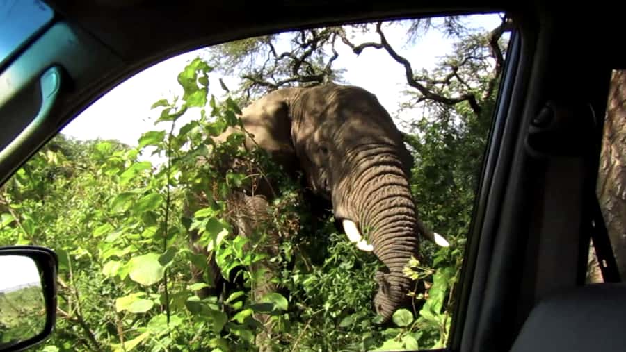 Kigali: Full-Day Akagera Safari + Optional Boat Ride - Who should book this safari?