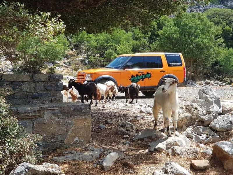 Knossos Palace and Pottery experience. Excursion Safari - Who will enjoy this Crete day most?