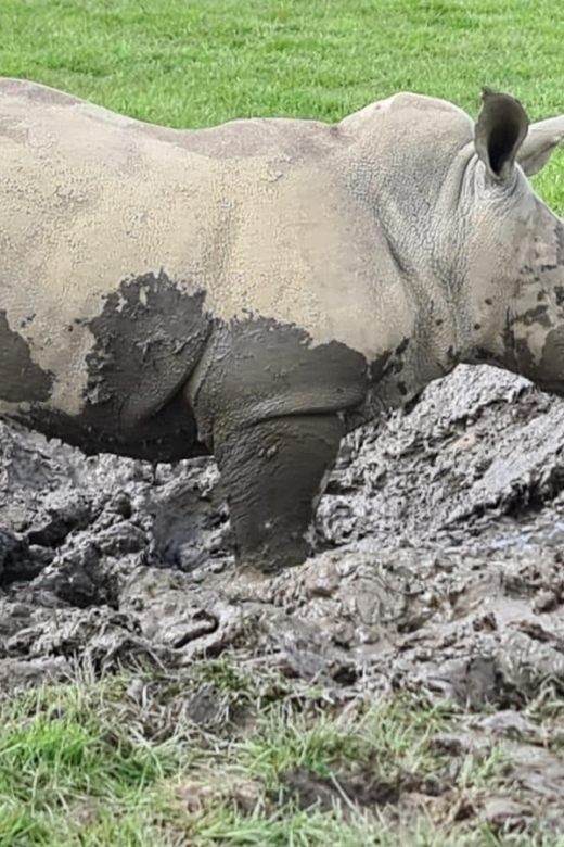 Knowsley: Safari Entry Tickets - Key things to know before you go