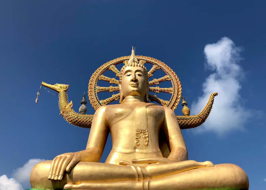 Koh Samui: 4x4 Off Road Island Safari Tour Including Lunch - Lunch above the island